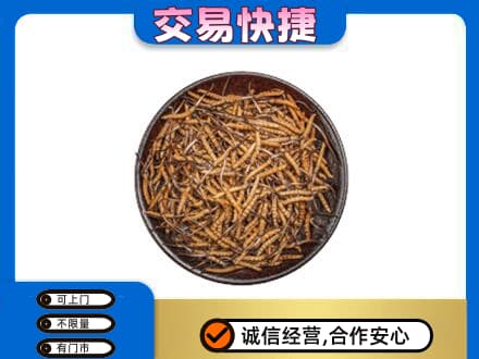 喀什高价回收散虫草